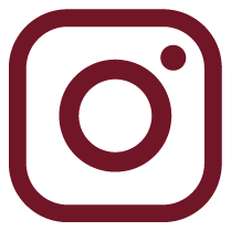 ICONOS-COLOR-BODEGAS-CAMPOS_redes-instagram