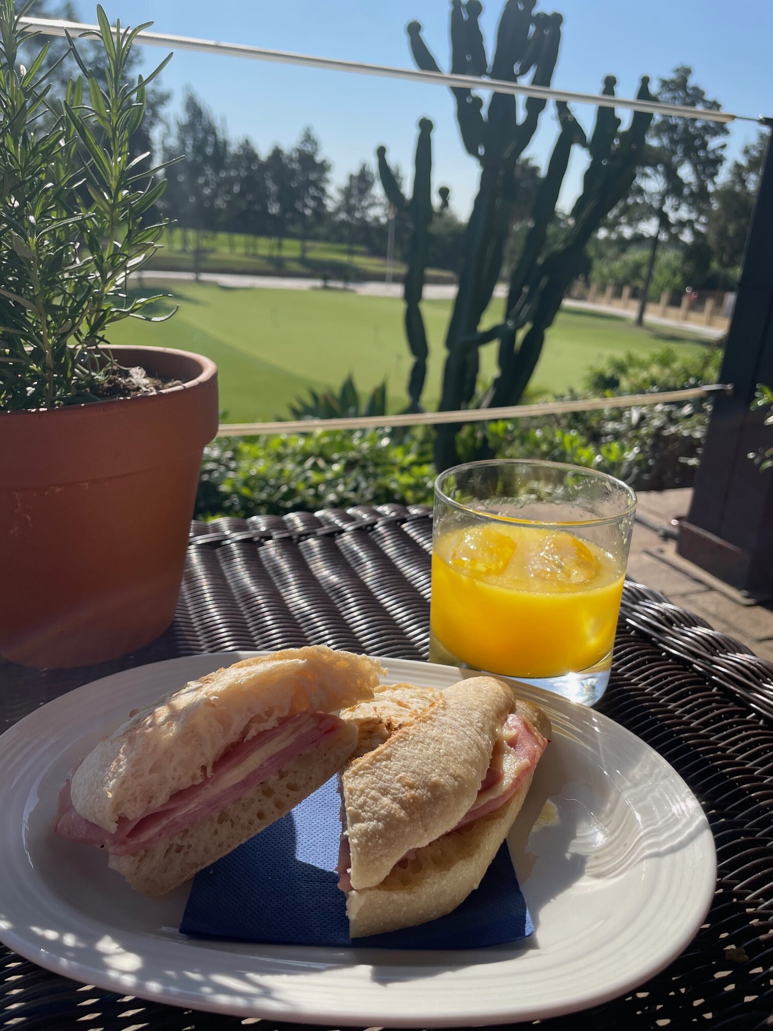 Terraza 18