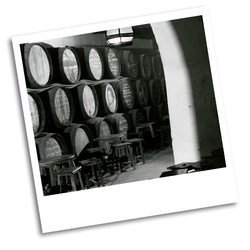 restaurante-espacios-bodegas-campos-DESDE-1908