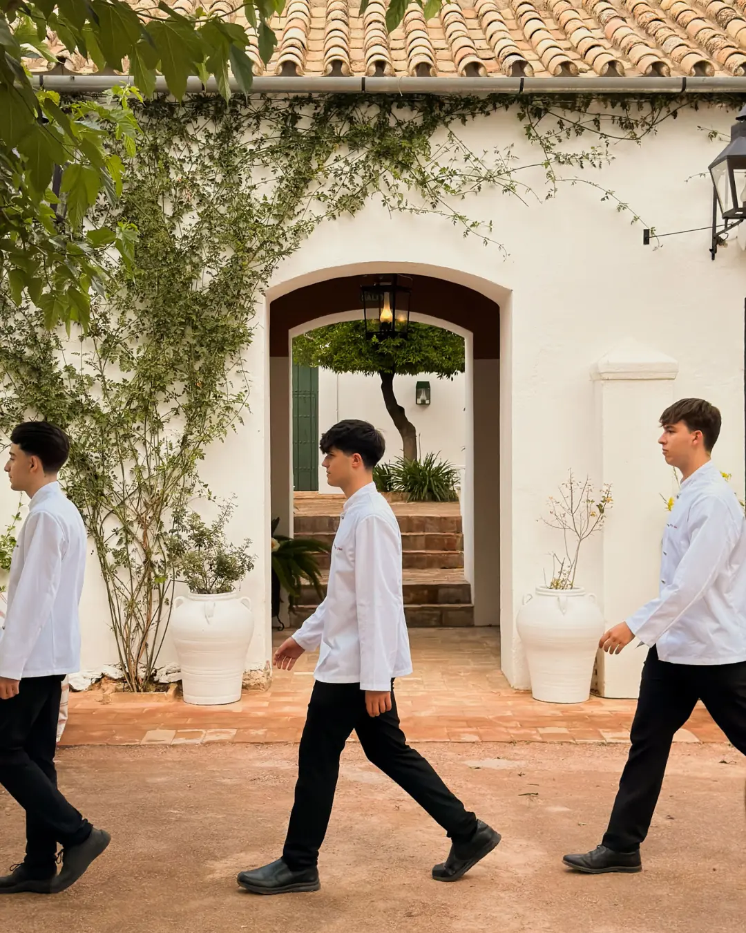 catering de alta cocina en finca de cordoba bodegas campos